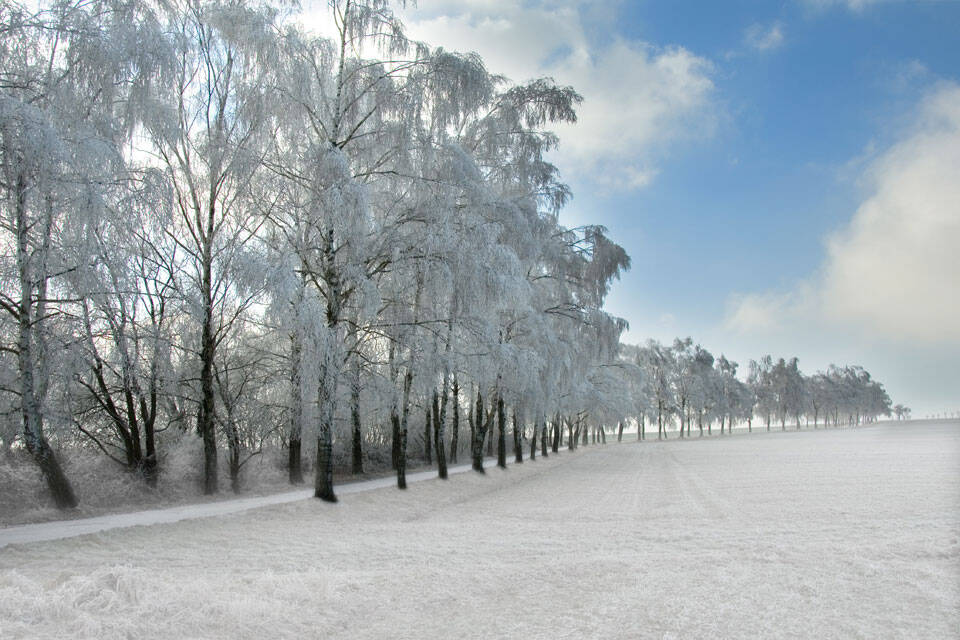 "Wintersleep"